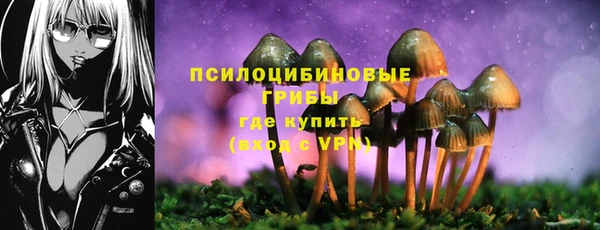 ешки Покачи